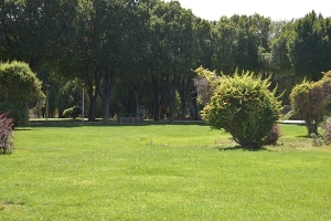 تیران