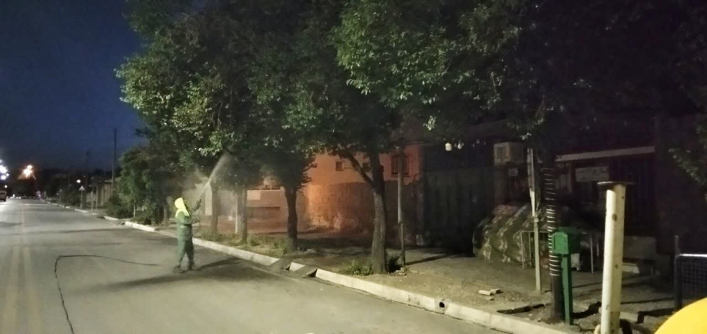 سم پاشی و شستشوی درختان تیران