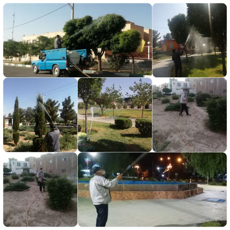 سم پاشی بوستان ها همچنان ادامه دارد