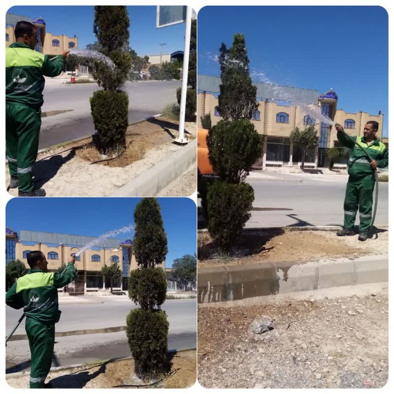 پارکبانان در حال شستشوی درختان