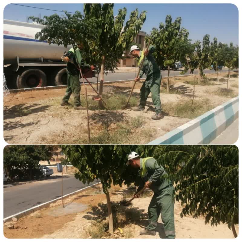 حفظ و حراست فضای سبز تیران