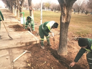 تیران