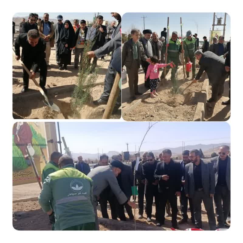 آیین درختکاری در تیران