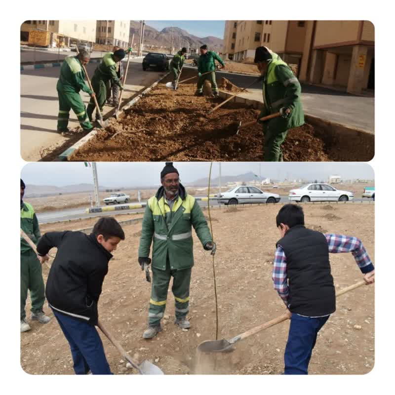 درختکاری برای آینده سبز و سالم