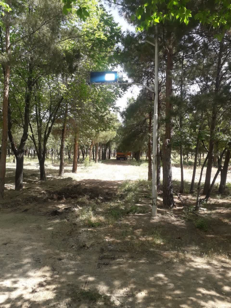 امنیت و زیبایی پارک جنگلی آزادگان