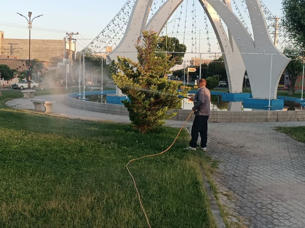 سمپاشی درختان و فضای سبز