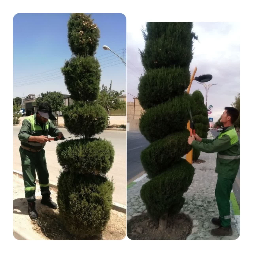 خوش نگاهی شهروندان تیرانی