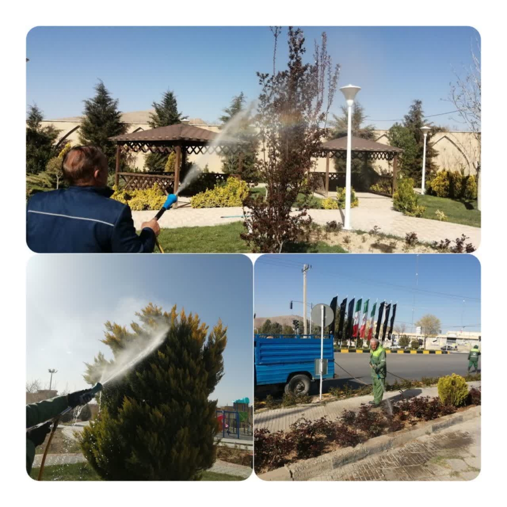 اطلاعیه سم پاشی درختان