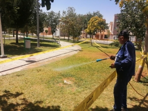 تیران