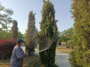 تیران