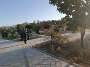 تیران