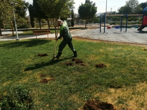 تیران